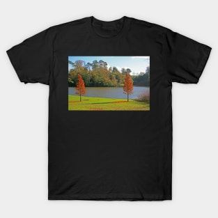 Bowood Lake T-Shirt